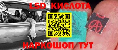 гидра Гатчина