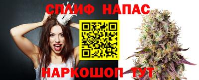 гидра Гатчина