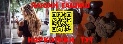 гидра Гатчина