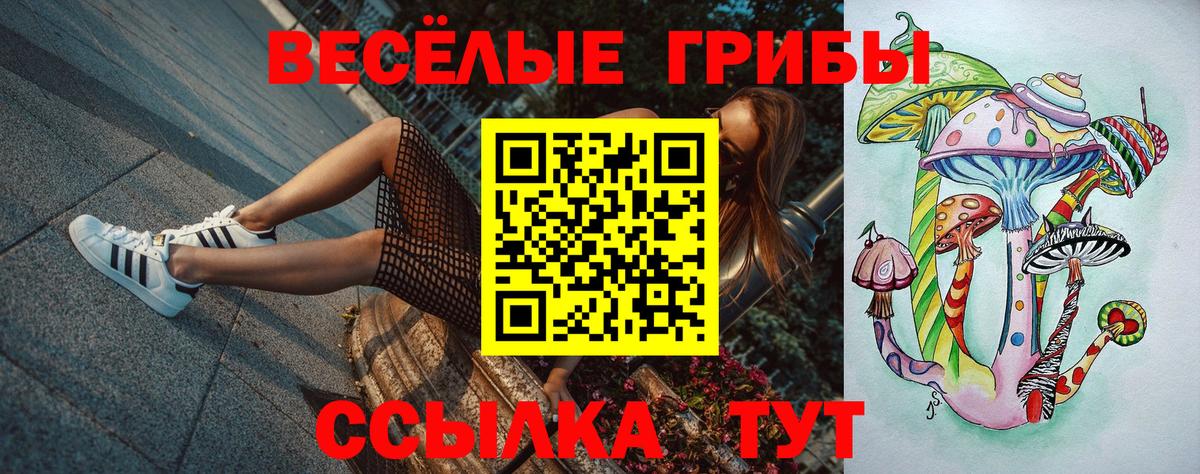 Галлюциногенные грибы мухоморы Ангарск