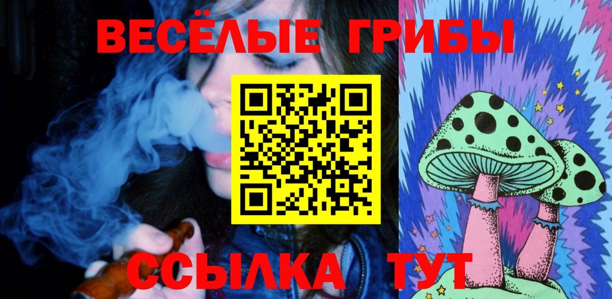 Галлюциногенные грибы Psilocybe  Галлюциногенные грибы ЛСД  Ангарск  Вход с VPN 