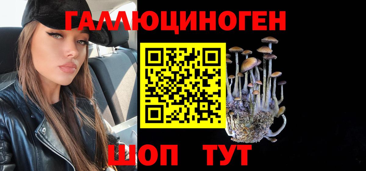 закладки  Псилоцибиновые грибы Cubensis  Вход с VPN  Ангарск  Псилоцибиновые грибы Psilocybine cubensis 